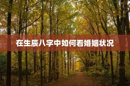 在生辰八字中如何看婚姻状况