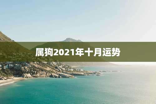 属狗2021年十月运势