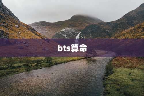 bts算命