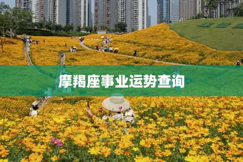 摩羯座事业运势查询