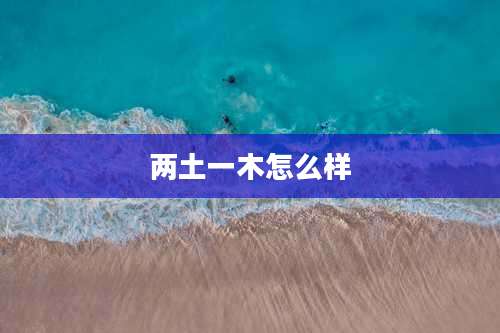 两土一木怎么样