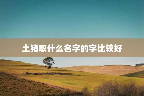 土猪取什么名字的字比较好