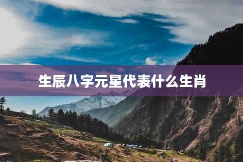 生辰八字元星代表什么生肖