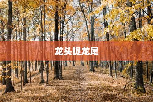 龙头捉龙尾