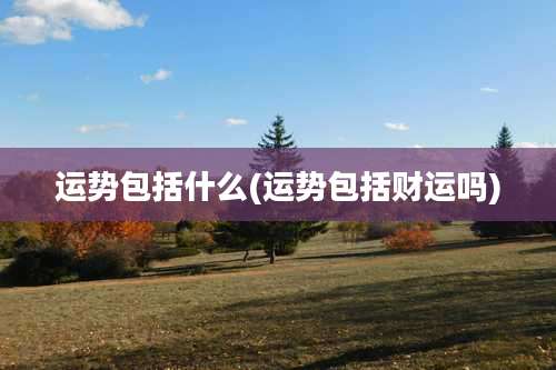 运势包括什么(运势包括财运吗)