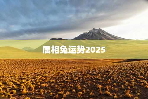 属相兔运势2025