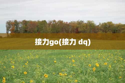 接力go(接力 dq)