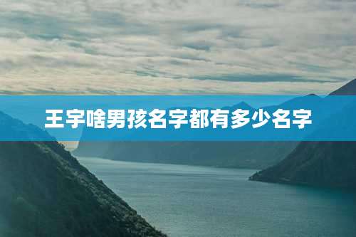 王宇啥男孩名字都有多少名字
