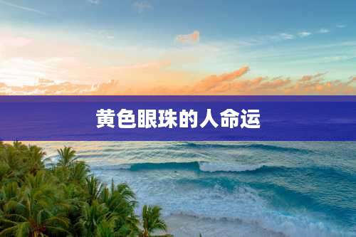 黄色眼珠的人命运