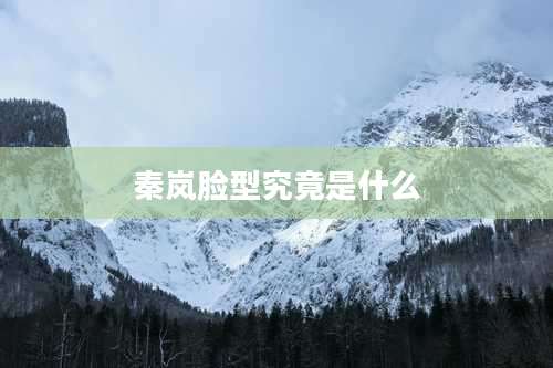 秦岚脸型究竟是什么