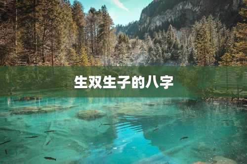 生双生子的八字
