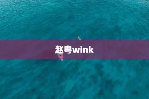 赵粤wink