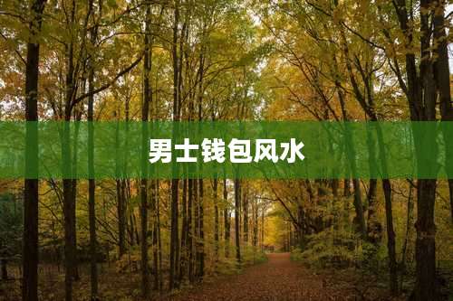 男士钱包风水