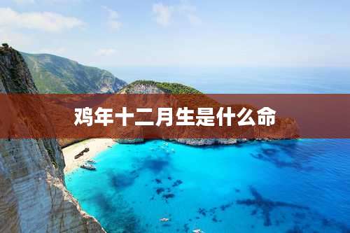 鸡年十二月生是什么命