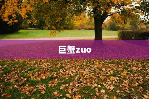 巨蟹zuo
