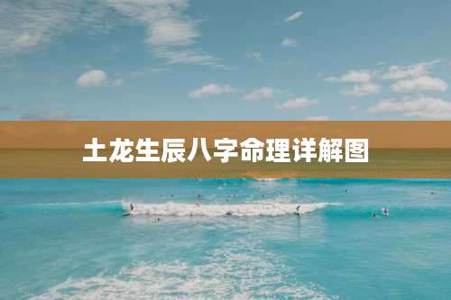 土龙生辰八字命理详解图