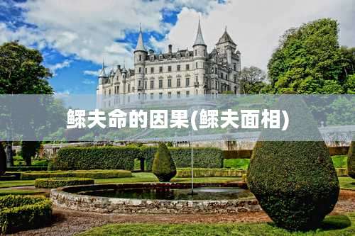 鳏夫命的因果(鳏夫面相)