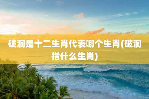 破洞是十二生肖代表哪个生肖(破洞指什么生肖)