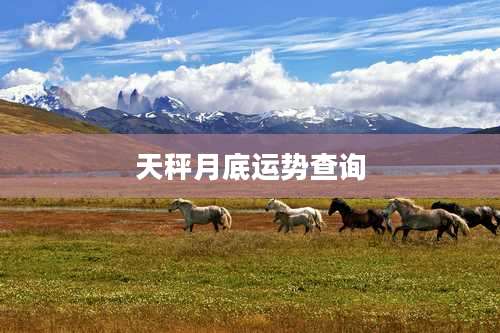 天秤月底运势查询