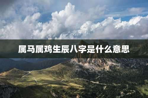 属马属鸡生辰八字是什么意思