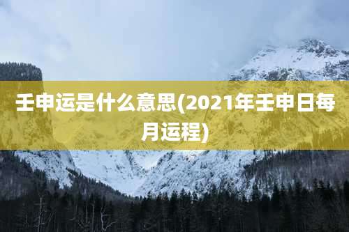 壬申运是什么意思(2021年壬申日每月运程)