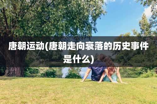 唐朝运动(唐朝走向衰落的历史事件是什么)