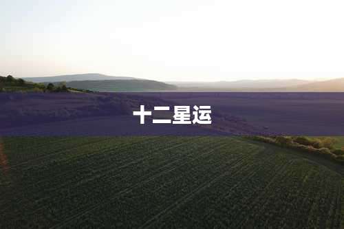 十二星运