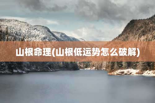 山根命理(山根低运势怎么破解)