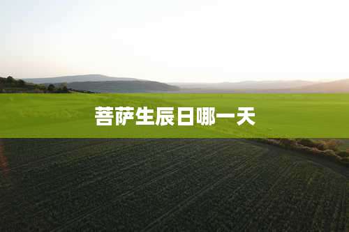 菩萨生辰日哪一天