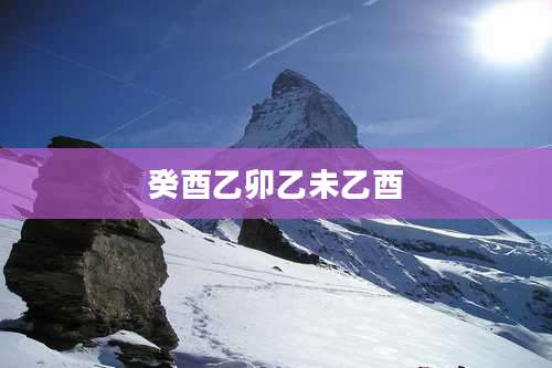 癸酉乙卯乙未乙酉