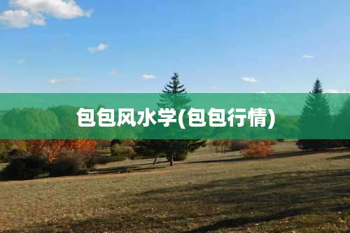 包包风水学(包包行情)