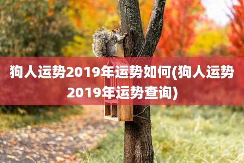 狗人运势2019年运势如何(狗人运势2019年运势查询)