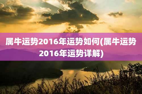 属牛运势2016年运势如何(属牛运势2016年运势详解)