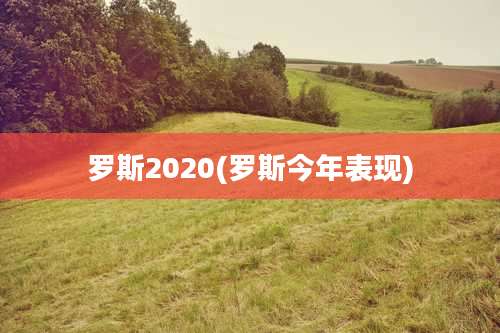 罗斯2020(罗斯今年表现)