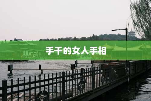 手干的女人手相