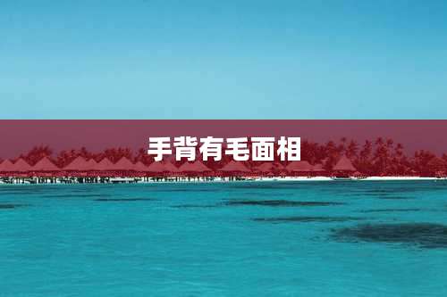 手背有毛面相