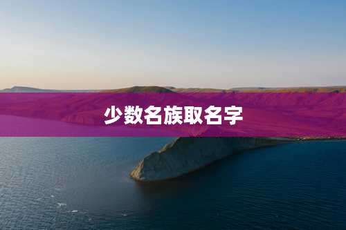 少数名族取名字