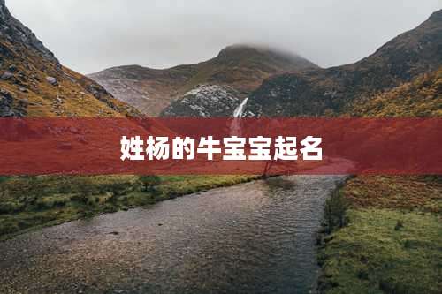 姓杨的牛宝宝起名