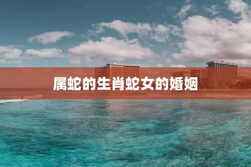 属蛇的生肖蛇女的婚姻