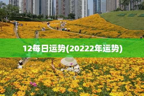 12每日运势(20222年运势)