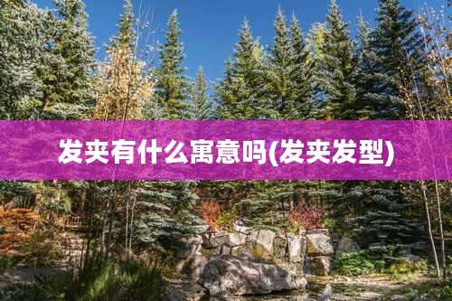 发夹有什么寓意吗(发夹发型)