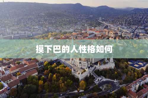 摸下巴的人性格如何