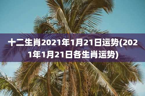 十二生肖2021年1月21日运势(2021年1月21日各生肖运势)