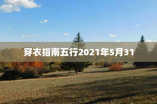穿衣指南五行2021年5月31