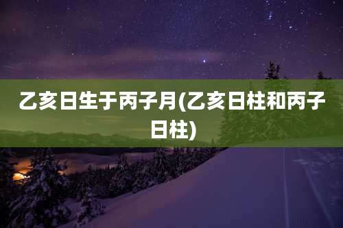 乙亥日生于丙子月(乙亥日柱和丙子日柱)