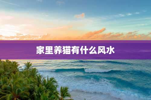 家里养猫有什么风水