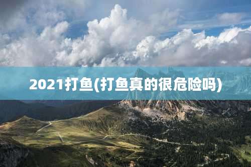2021打鱼(打鱼真的很危险吗)