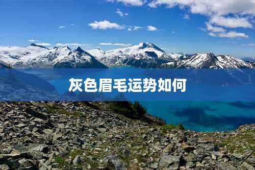 灰色眉毛运势如何