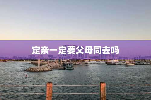 定亲一定要父母同去吗