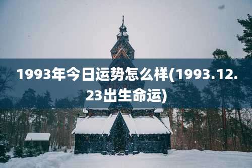 1993年今日运势怎么样(1993.12.23出生命运)